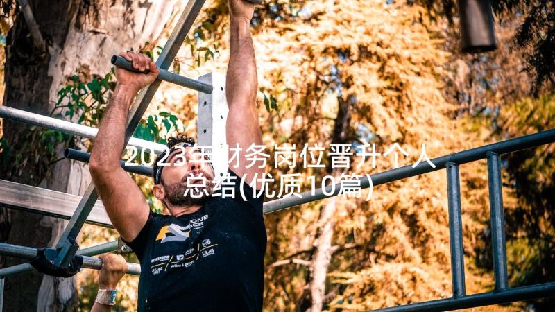 2023年财务岗位晋升个人总结(优质10篇)