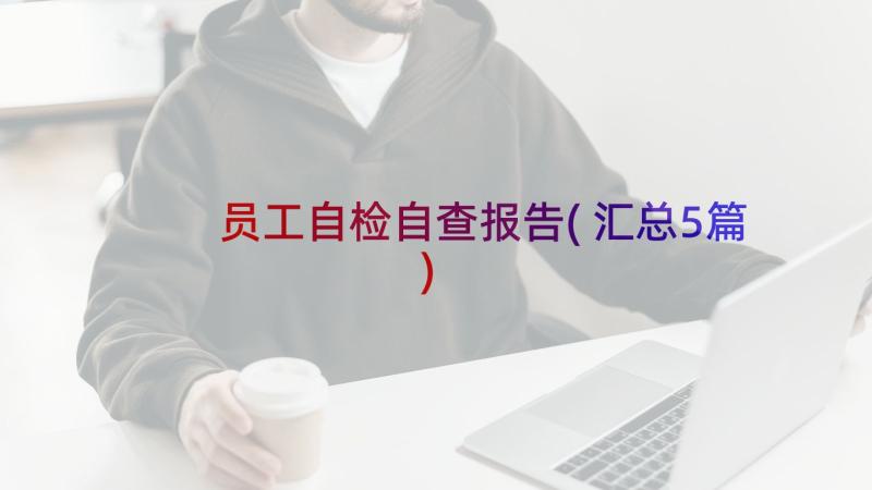 员工自检自查报告(汇总5篇)