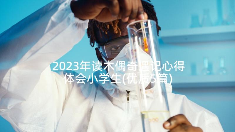 2023年读木偶奇遇记心得体会小学生(优质5篇)