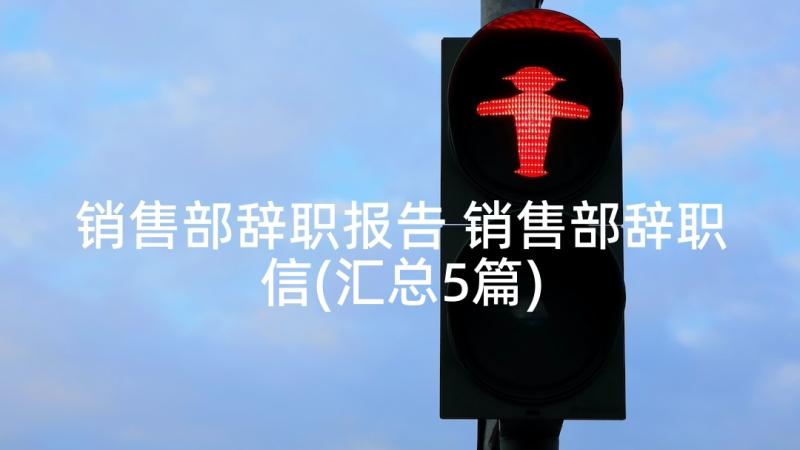 销售部辞职报告 销售部辞职信(汇总5篇)