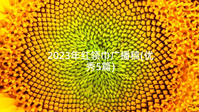 2023年红领巾广播稿(优秀5篇)