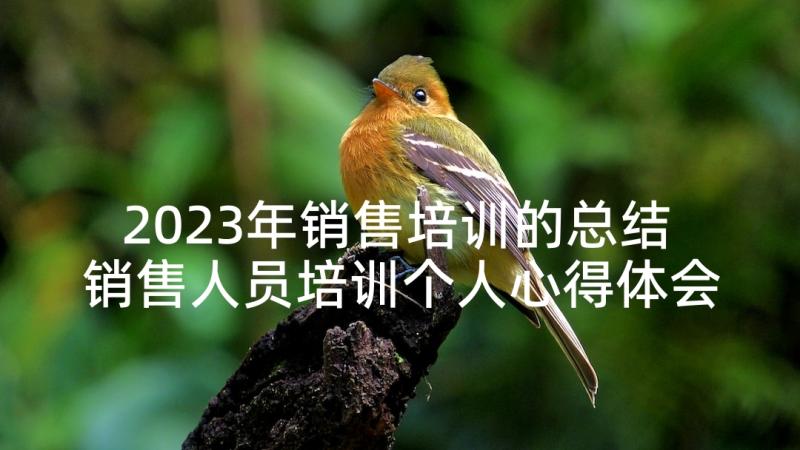 2023年销售培训的总结 销售人员培训个人心得体会(汇总5篇)