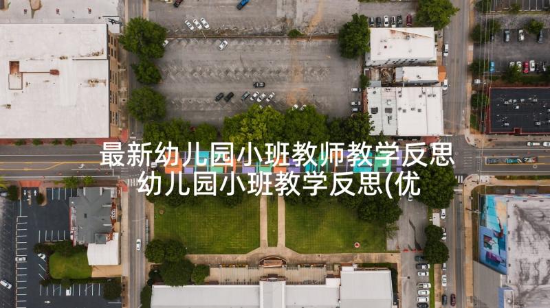 最新幼儿园小班教师教学反思 幼儿园小班教学反思(优质8篇)