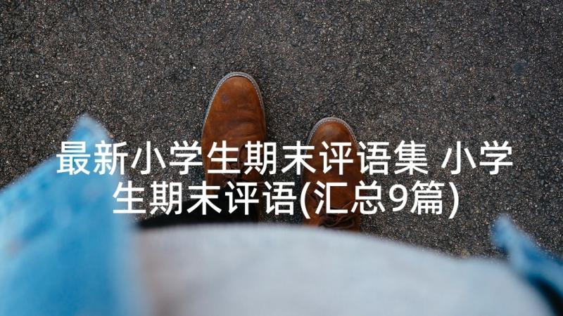 最新小学生期末评语集 小学生期末评语(汇总9篇)