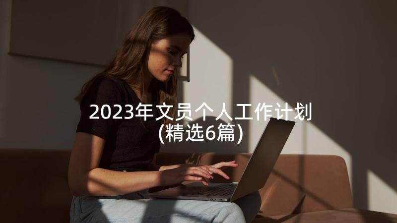 2023年文员个人工作计划(精选6篇)