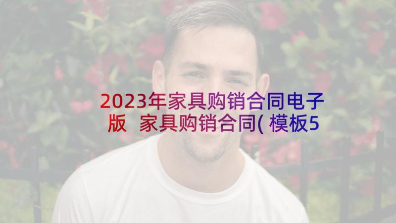 2023年家具购销合同电子版 家具购销合同(模板5篇)