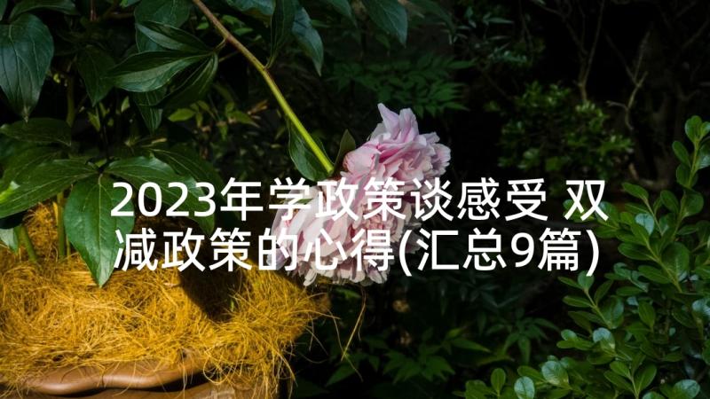 2023年学政策谈感受 双减政策的心得(汇总9篇)