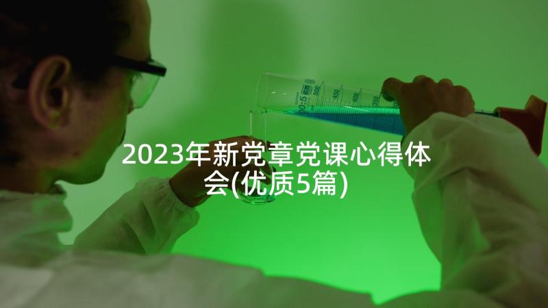 2023年新党章党课心得体会(优质5篇)