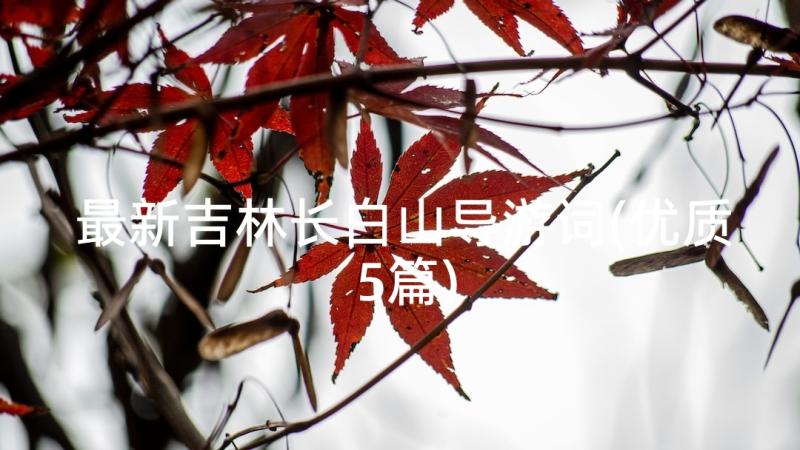 最新吉林长白山导游词(优质5篇)