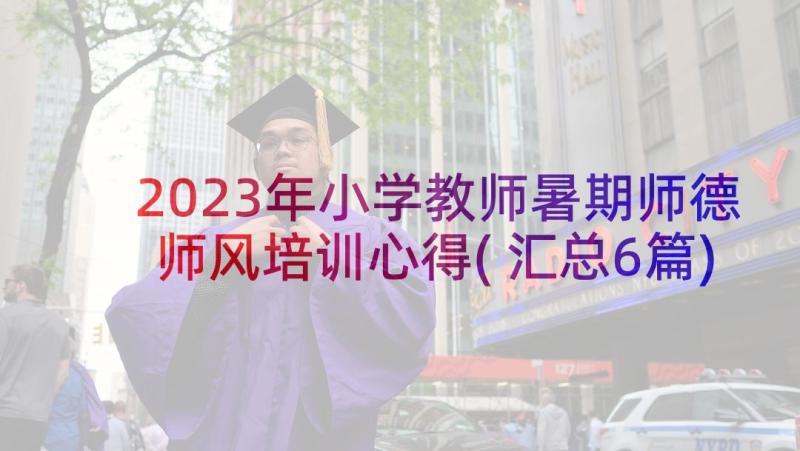 2023年小学教师暑期师德师风培训心得(汇总6篇)