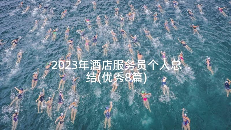 2023年酒店服务员个人总结(优秀8篇)