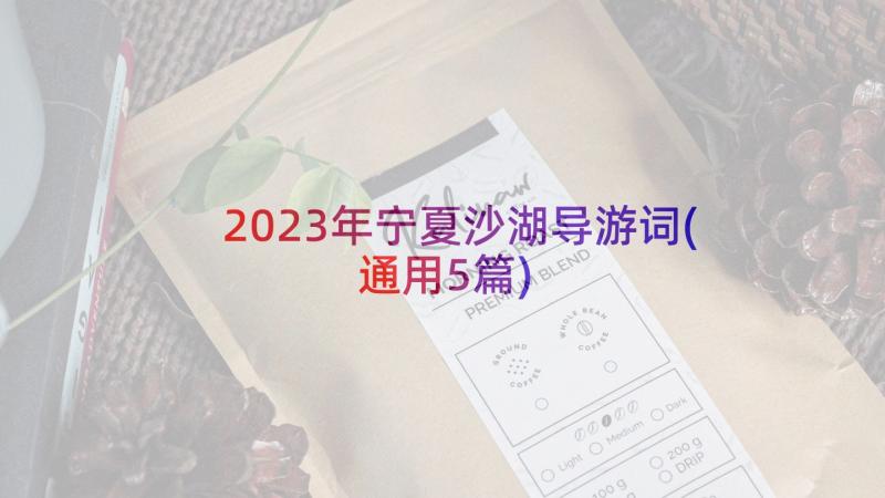 2023年宁夏沙湖导游词(通用5篇)