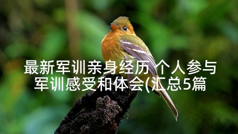 最新军训亲身经历 个人参与军训感受和体会(汇总5篇)