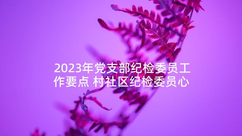 2023年党支部纪检委员工作要点 村社区纪检委员心得体会(通用7篇)