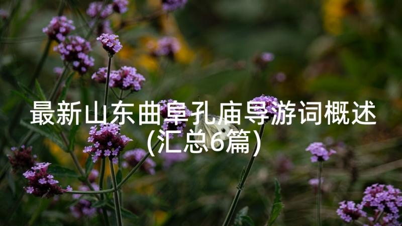 最新山东曲阜孔庙导游词概述(汇总6篇)