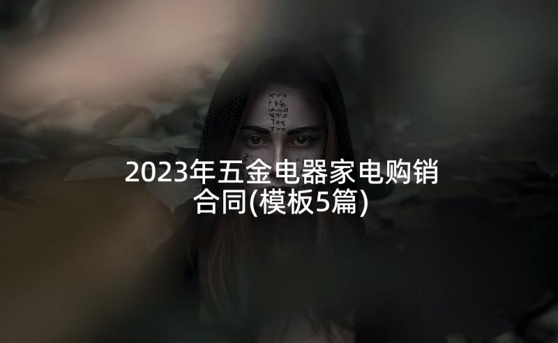 2023年五金电器家电购销合同(模板5篇)