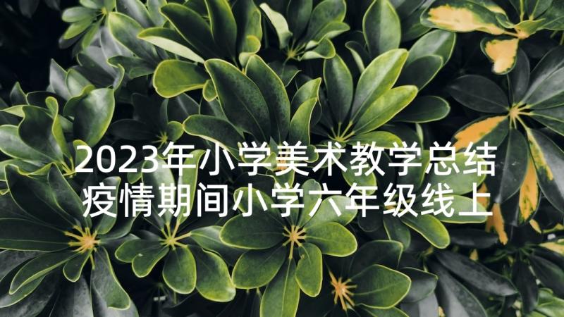 2023年小学美术教学总结 疫情期间小学六年级线上教学总结(汇总5篇)