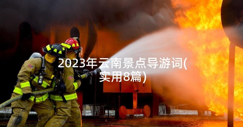 2023年云南景点导游词(实用8篇)