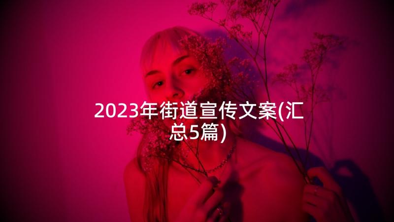 2023年街道宣传文案(汇总5篇)