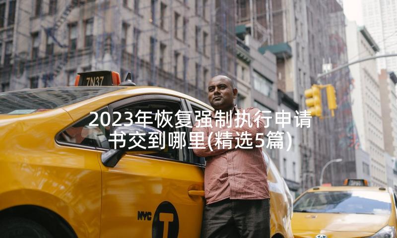 2023年恢复强制执行申请书交到哪里(精选5篇)