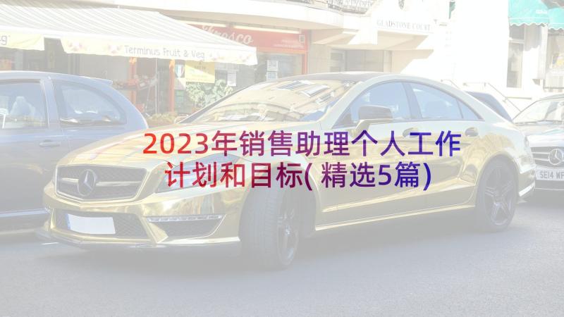 2023年销售助理个人工作计划和目标(精选5篇)