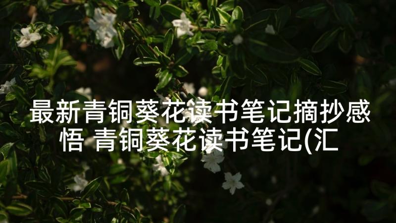 最新青铜葵花读书笔记摘抄感悟 青铜葵花读书笔记(汇总7篇)