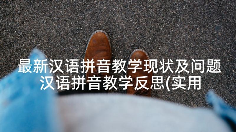 最新汉语拼音教学现状及问题 汉语拼音教学反思(实用10篇)