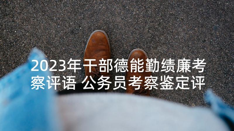 2023年干部德能勤绩廉考察评语 公务员考察鉴定评语(精选10篇)