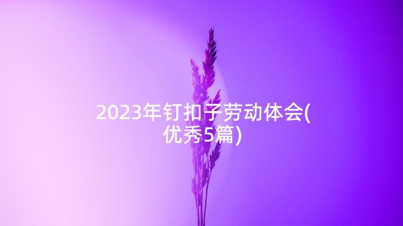 2023年钉扣子劳动体会(优秀5篇)