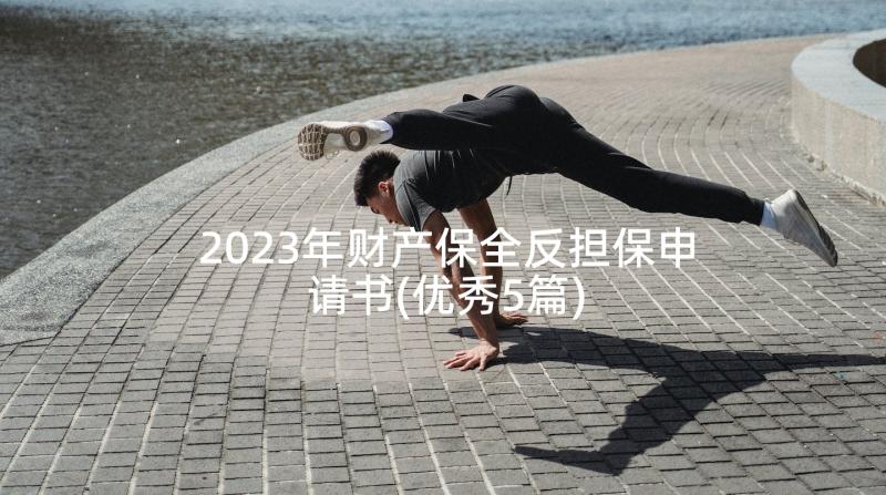 2023年财产保全反担保申请书(优秀5篇)