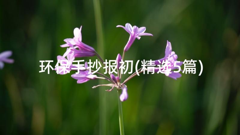 环保手抄报初(精选5篇)