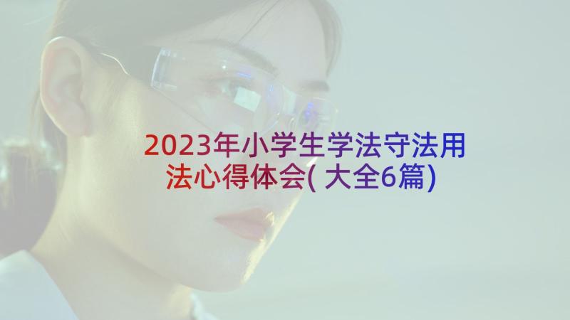 2023年小学生学法守法用法心得体会(大全6篇)