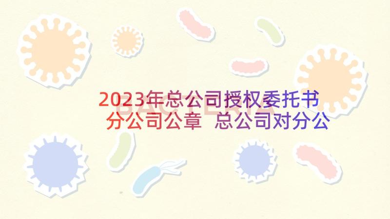 2023年总公司授权委托书分公司公章 总公司对分公司授权的委托书(精选5篇)