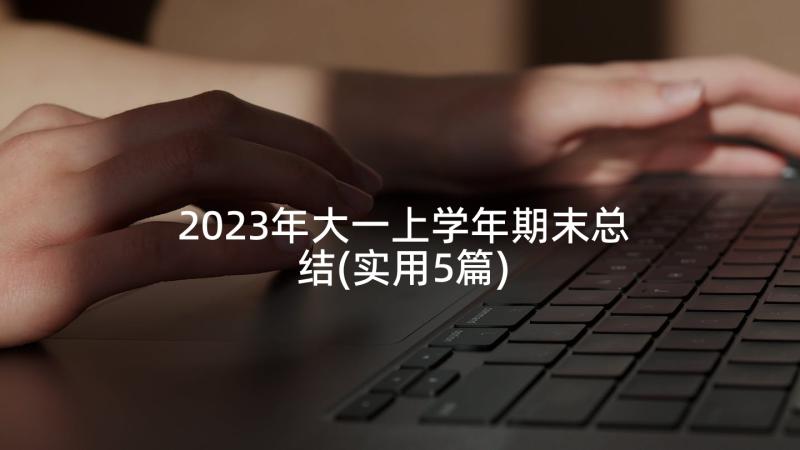 2023年大一上学年期末总结(实用5篇)