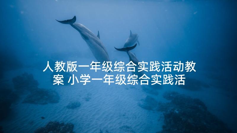 人教版一年级综合实践活动教案 小学一年级综合实践活动教案(优秀5篇)