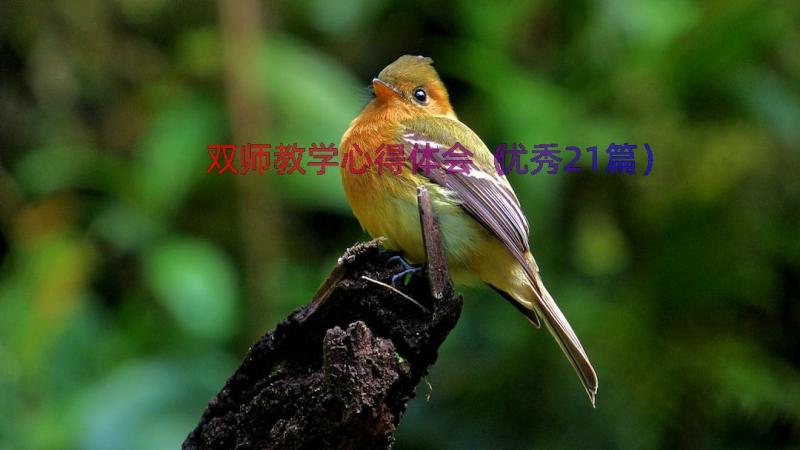 双师教学心得体会（优秀21篇）