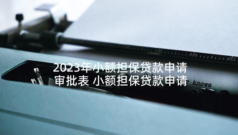 2023年小额担保贷款申请审批表 小额担保贷款申请书(优质5篇)