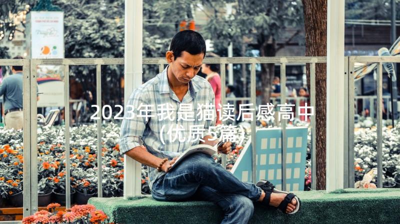 2023年我是猫读后感高中(优质5篇)