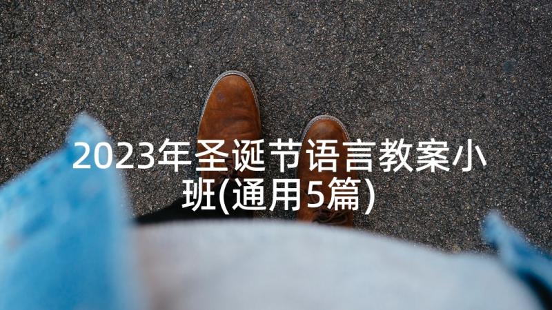 2023年圣诞节语言教案小班(通用5篇)