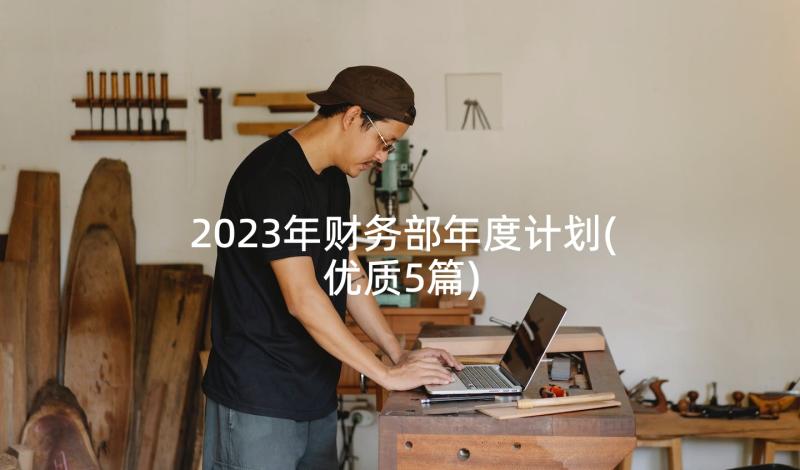 2023年财务部年度计划(优质5篇)