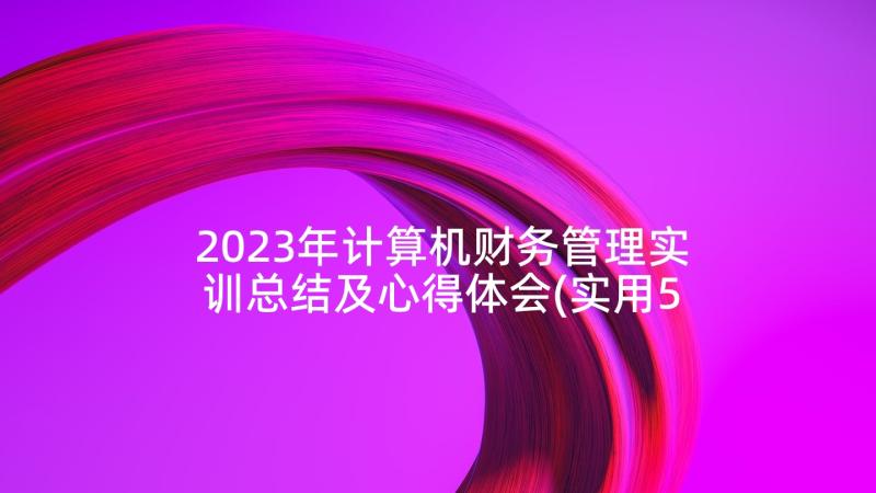 2023年计算机财务管理实训总结及心得体会(实用5篇)