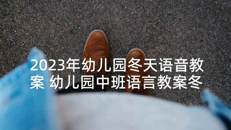 2023年幼儿园冬天语音教案 幼儿园中班语言教案冬天来了(汇总5篇)