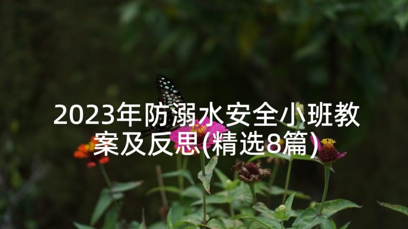 2023年防溺水安全小班教案及反思(精选8篇)