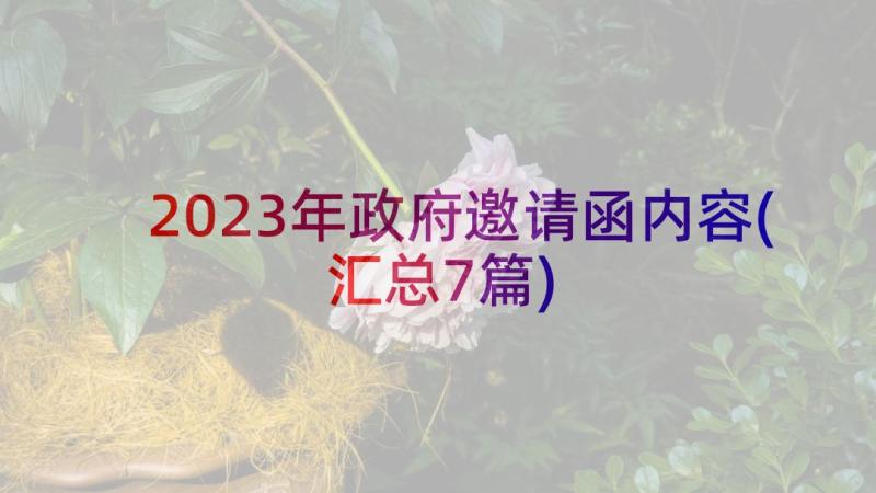 2023年政府邀请函内容(汇总7篇)