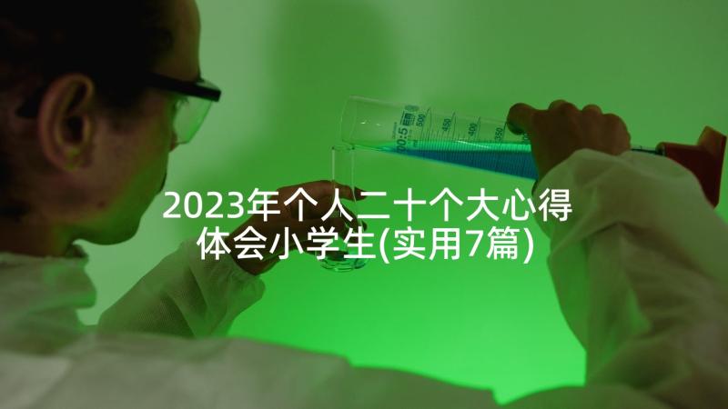 2023年个人二十个大心得体会小学生(实用7篇)