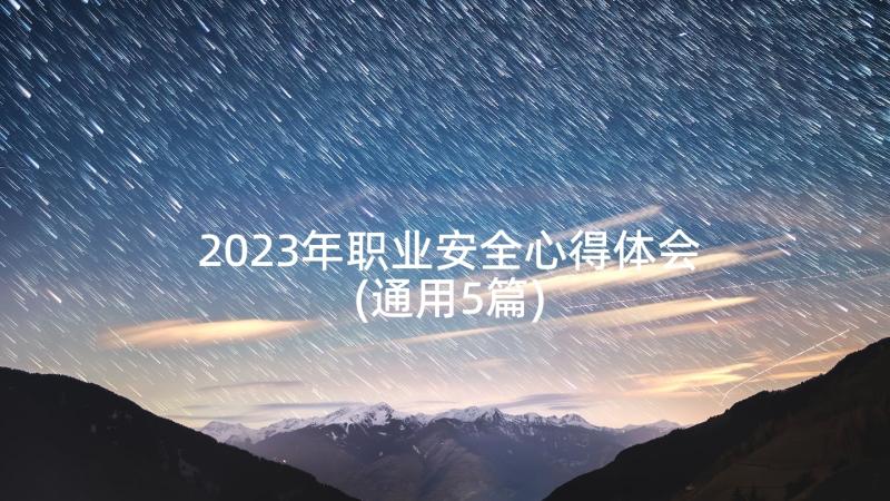 2023年职业安全心得体会(通用5篇)