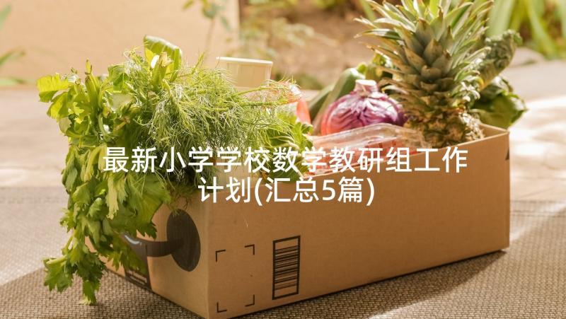 最新小学学校数学教研组工作计划(汇总5篇)