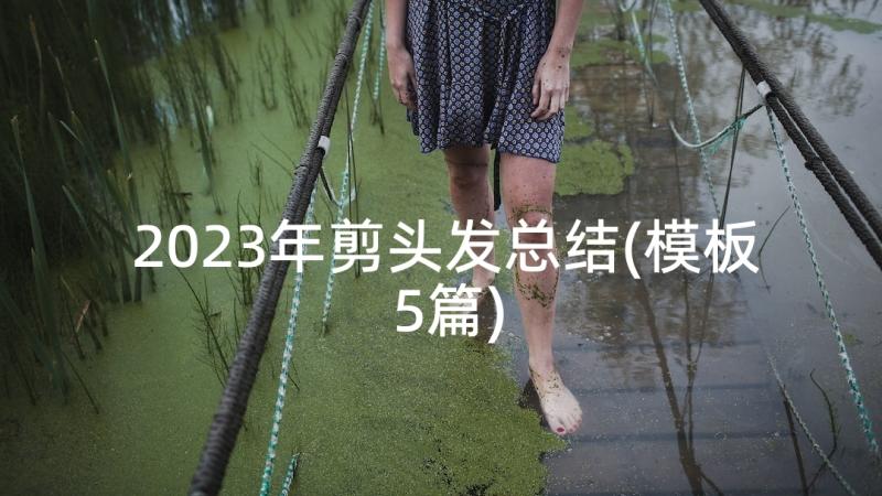 2023年剪头发总结(模板5篇)