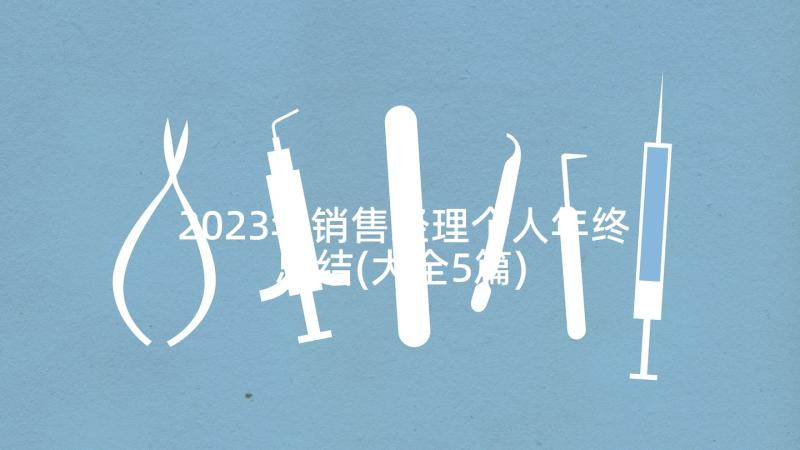 2023年销售经理个人年终总结(大全5篇)