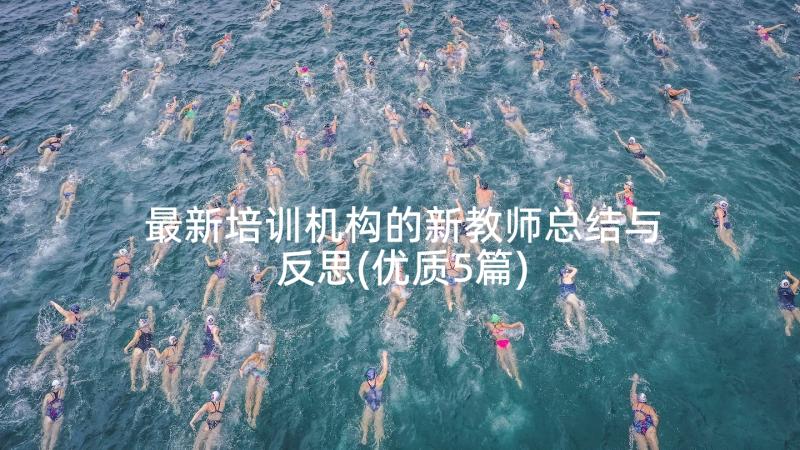 最新培训机构的新教师总结与反思(优质5篇)